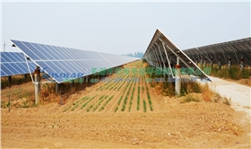 農(nóng)光互補光伏發(fā)電